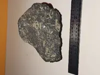 20180920_195913-ccfopt.webp