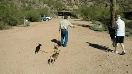 1541368699809.webp