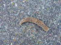 20181017_100109.webp