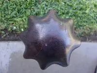 100_0267.webp