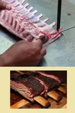 babyBack.webp