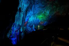 _CM27513.adj_2.webp