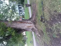 20180921_110353.webp 20180921_110353.webp