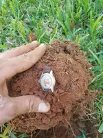 20181017_130338.webp