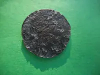coin 1.webp