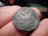 coin 3.webp