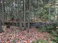 IMG_20181015_150338.webp
