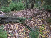 IMG_20181015_150028.webp