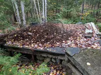 IMG_20181015_150038.webp