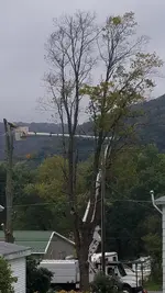 20181008_222134.webp