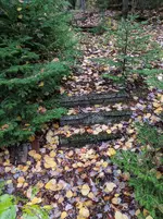 IMG_20181015_150006.webp