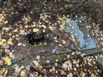 IMG_20181015_150904.webp