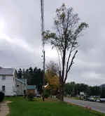20181008_222056.webp