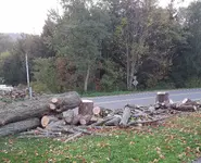 20181008_221931.webp