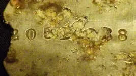 DSCF6098.webp