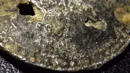 DSCF5478.webp