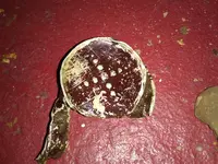 IMG_20181104_142101937.webp