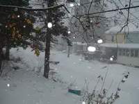 DSCF0001.webp