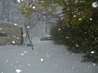 DSCF0002.webp