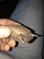 20181104_173721.webp