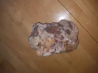 20180922_143439.webp