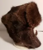 20181104_202858.webp