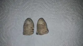 20181112_122117.webp