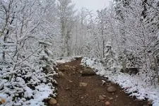 10-9c.webp