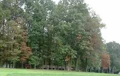 DSCF0021.webp