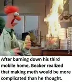 Beaker burns down 3rd mobile home.webp