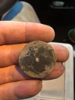 IMG_0012.webp IMG_0012.webp