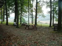 DSCF0008.webp
