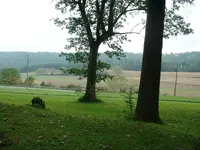 DSCF0011.webp