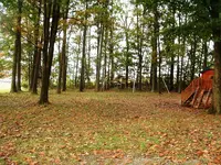 DSCF0017.webp