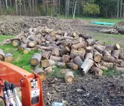 20181009_143427.webp