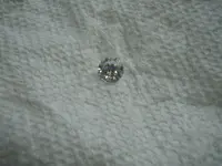 PA180015.webp