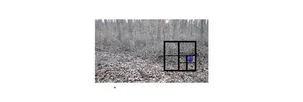 Untitled.webp