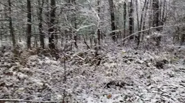 VideoCapture_20181116-103622.webp
