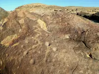 trip 111518 2.webp