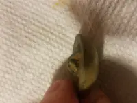 20181127_204126.webp