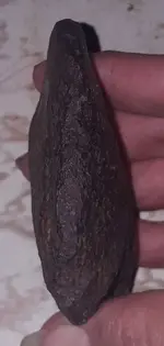 20181127_173443.webp