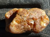 rock hunt 10-20-18 028.webp