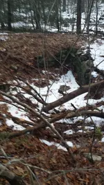 20181127_160020.webp
