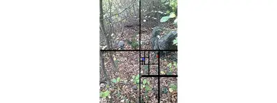 map.webp