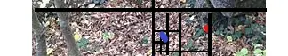 map 3.webp