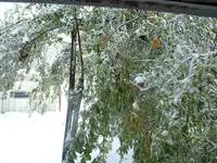 DSCF0006.webp