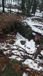 20181127_160044.webp