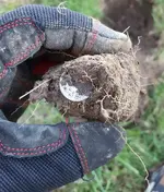 20181017_215648.webp