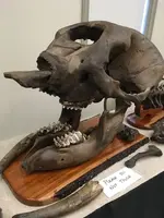 mastodon 2.webp