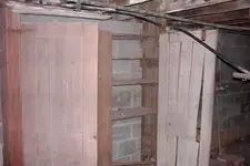 free cellar.webp